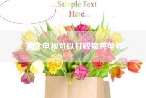 哪个电视可以打败魔兽争霸