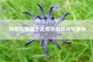 传奇私服哪个免费地图打元宝最快