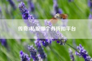 传奇3私服哪个有折扣平台