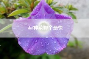 dnf种菜哪个最快