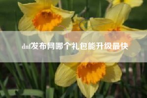 dnf发布网哪个礼包能升级最快