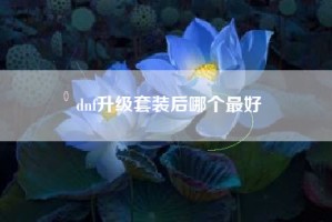 dnf升级套装后哪个最好