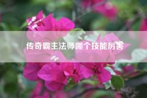 传奇霸主法师哪个技能厉害