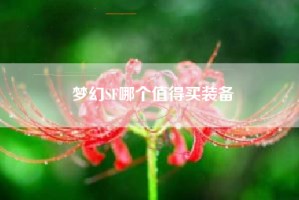 梦幻SF哪个值得买装备
