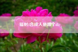 辐射4合成人是哪个dlc