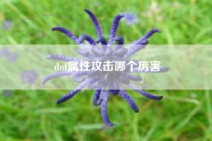dnf属性攻击哪个厉害