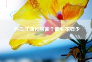 热血江湖官服哪个职业花钱少