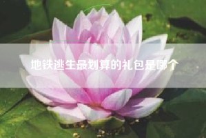 地铁逃生最划算的礼包是哪个
