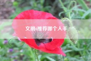 文明6推荐哪个入手