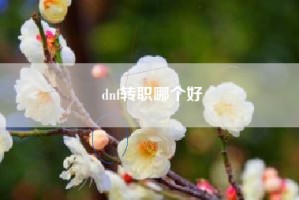 dnf转职哪个好