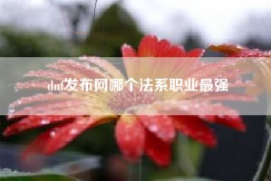 dnf发布网哪个法系职业最强