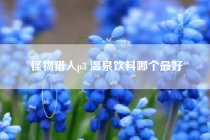 怪物猎人p3 温泉饮料哪个最好
