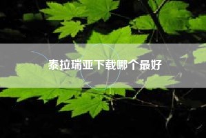 泰拉瑞亚下载哪个最好