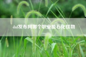 dnf发布网哪个职业能石化怪物
