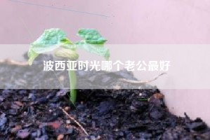 波西亚时光哪个老公最好