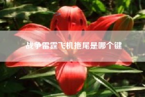 战争雷霆飞机拖尾是哪个键