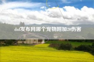 dnf发布网哪个宠物附加20伤害