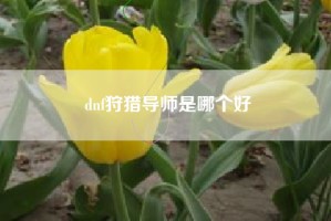 dnf狩猎导师是哪个好