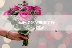 dnf巴卡尔宝珠哪个好