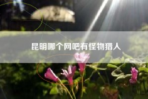 昆明哪个网吧有怪物猎人