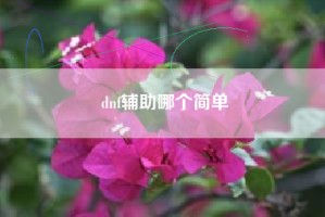 dnf辅助哪个简单