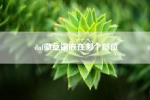 dnf徽章镶嵌在哪个部位