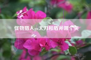 怪物猎人gu太刀和盾斧哪个爽