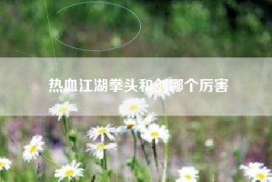 热血江湖拳头和剑哪个厉害