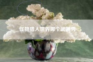 怪物猎人世界哪个武器秀