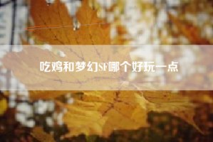 吃鸡和梦幻SF哪个好玩一点