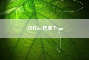 双开dnf选哪个cpu