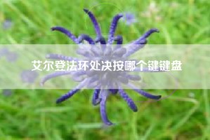 艾尔登法环处决按哪个键键盘
