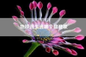 地铁逃生选哪个键登录