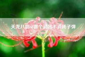 天龙八部SF哪个武器不消耗子弹