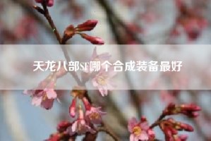 天龙八部SF哪个合成装备最好