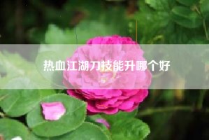 热血江湖刀技能升哪个好