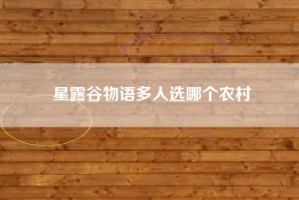 星露谷物语多人选哪个农村