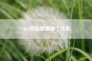 Dnf经验胶囊哪个任务