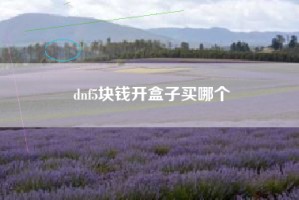 dnf5块钱开盒子买哪个