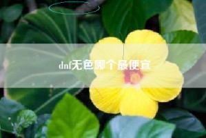 dnf无色哪个最便宜