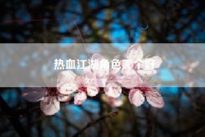 热血江湖角色哪个好