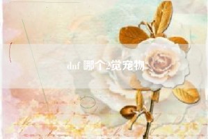 dnf 哪个2觉宠物
