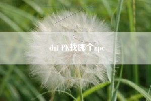 dnf PK找哪个npc