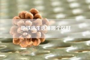 地铁逃生选择哪个区好