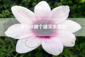 梦幻SF哪个键买东西的