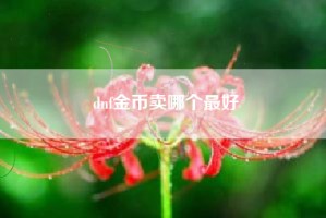 dnf金币卖哪个最好