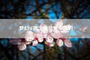 梦幻SF哪个会员是永久的