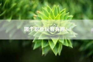 哪个职业玩着有趣dnf