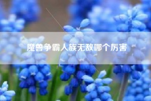 魔兽争霸人族无敌哪个厉害