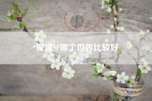 魔域SF哪个世界比较好